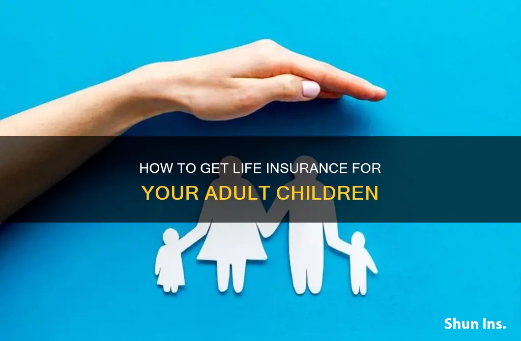 can I get life insurance on my adult cjildren