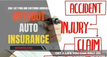 Pain Damages: Auto Insurance Not Needed