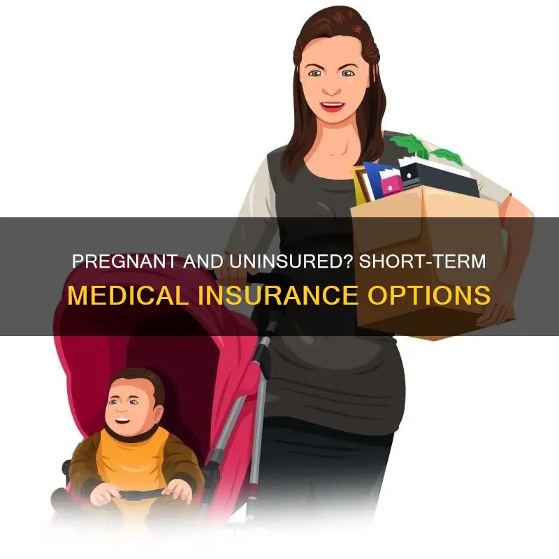 can I get short term medical insurance while pregnant