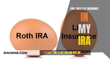 Holding Life Insurance in an IRA: Is It Possible?