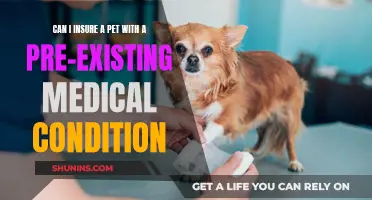 Insuring Pets with Pre-existing Medical Conditions: Is it Possible?