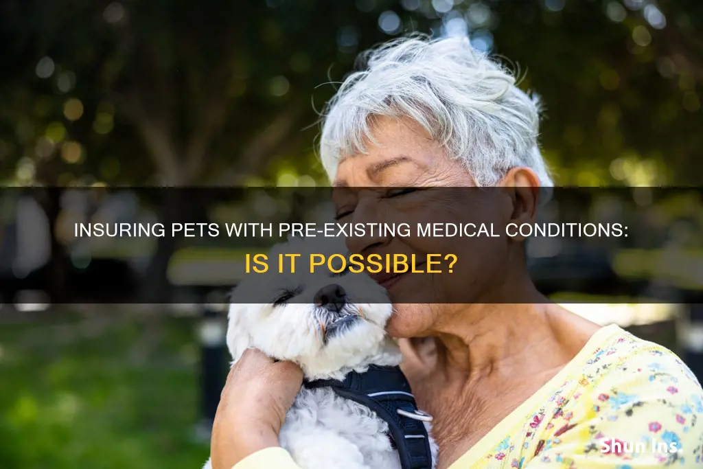 can I insure a pet with a pre-existing medical condition