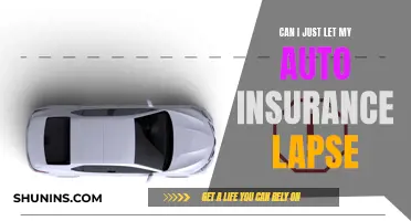 Auto Insurance Lapse: Is It Worth the Risk?