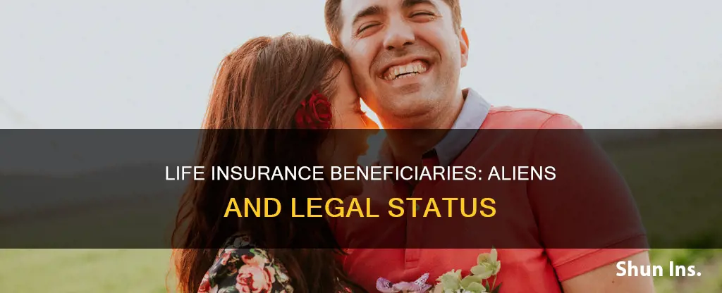 can I leave life insurance to illegal alien