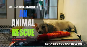 Leaving Life Insurance to Animal Rescues: Is It Possible?