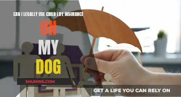 Using Child Life Insurance for Your Dog: Is It Legal?