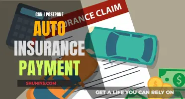 Postponing Auto Insurance: Can I Delay Payment?