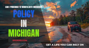 Michigan's Annual Auto Insurance: A 12-Month Option