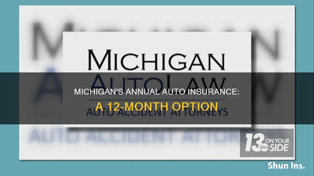 can I purchase 12 month auto insurance policy in Michigan