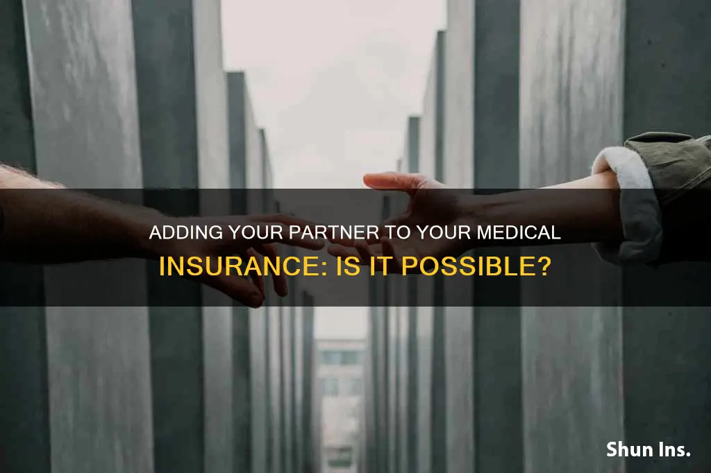 can I put my girlfriend on my medical insurance