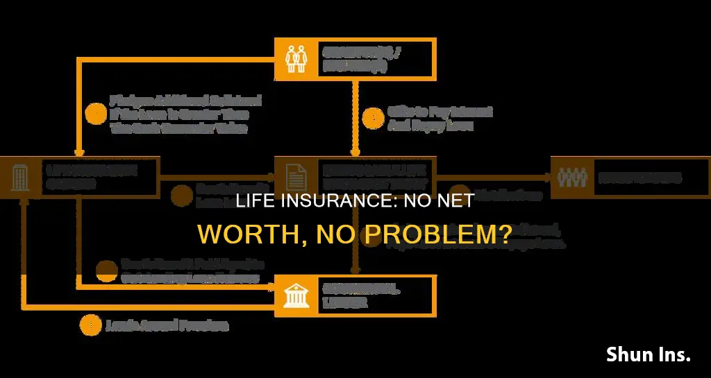 can I qualify for life insurance with no net worth