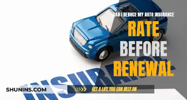 Lower Auto Insurance Rates Before Renewal