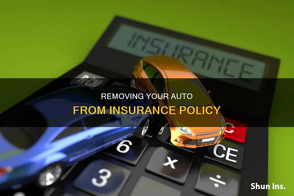 can I remove my auto from insurance policy