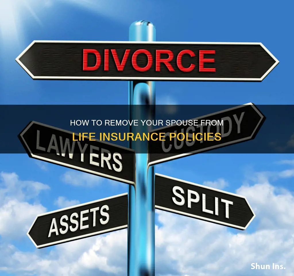 can I remove my spouse from my life insurance