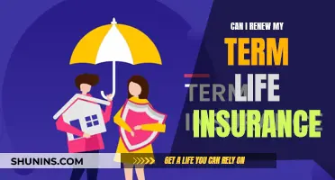 Term Life Insurance: Renewing Your Policy and Options