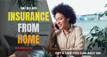 Selling Auto Insurance: Work-From-Home