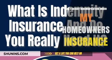 Home Insurance: When to Seek Indemnification