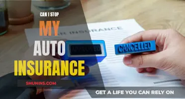 Auto Insurance: Pause or Stop?