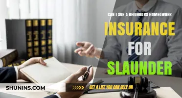 Suing Neighbors: Can I Target Their Homeowner Insurance for Slander?