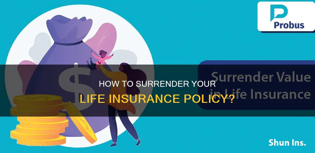 can I surrender my life insurance