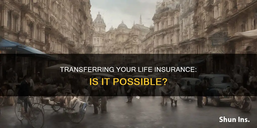 can I transfer my life insurance