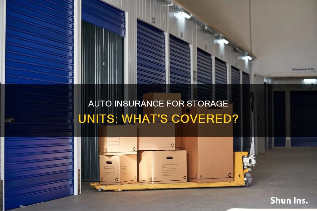 can I use auto insurance for storage unit