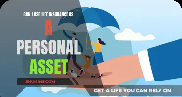 Life Insurance: Your Personal Asset and Financial Security