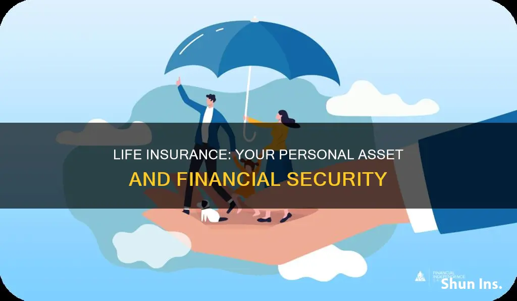 can I use life insurance as a personal asset