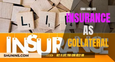 Using Life Insurance as Collateral: Is it Possible?