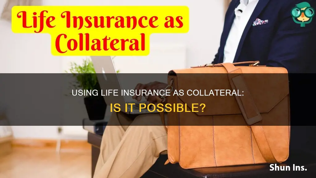 can I use life insurance as collateral