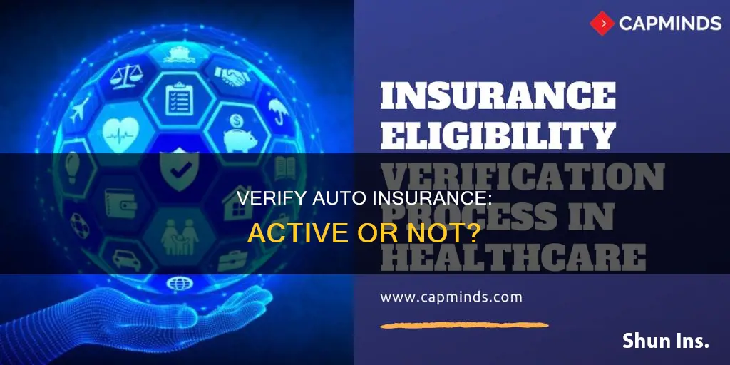 can I verify auto insurance policy active