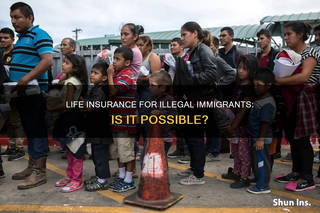 can illegal immigrnats get life insurance