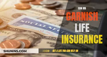 Life Insurance and IRS: Can They Garnish Your Policy?