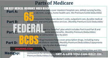 Medical Insurance at 65: Keeping Federal BCBS Coverage