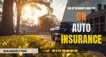 Kentucky: Dropping PIP on Auto Insurance