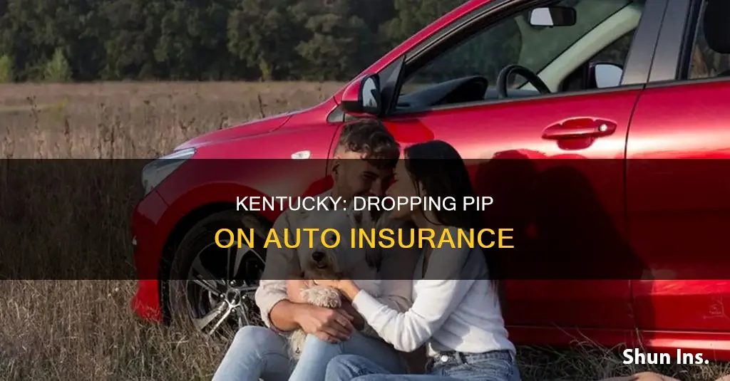 can ky residents drop pip on auto insurance