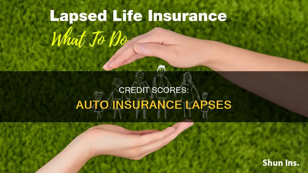 can lapse in auto insurance affect credit scor