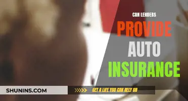 Lenders: Auto Insurance Providers?