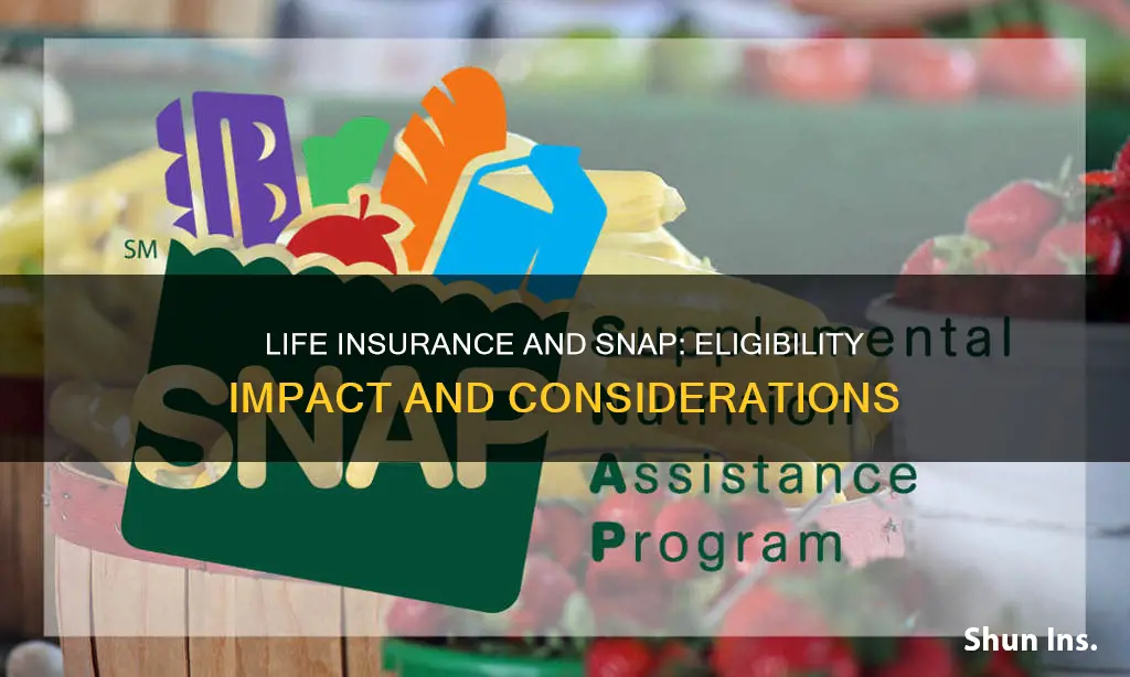 can life insurance affect your snap eligibility