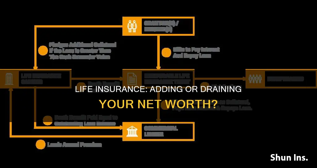 can life insurance be calculated in net worth