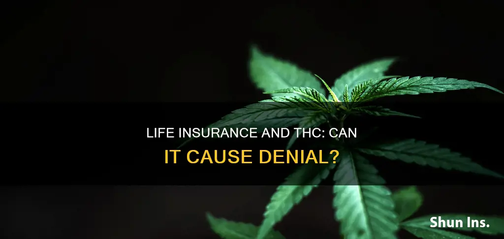 can life insurance be denied based on thc usage