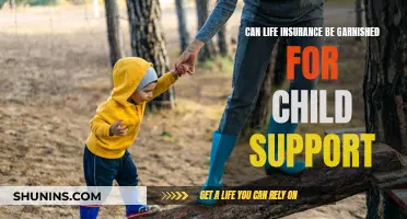 Life Insurance and Child Support: Can It Be Garnished?