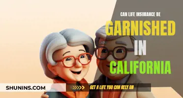 Life Insurance and Garnishment Laws in California