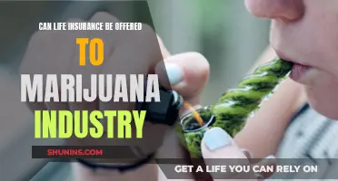 Marijuana Industry and Life Insurance: Who's Eligible?