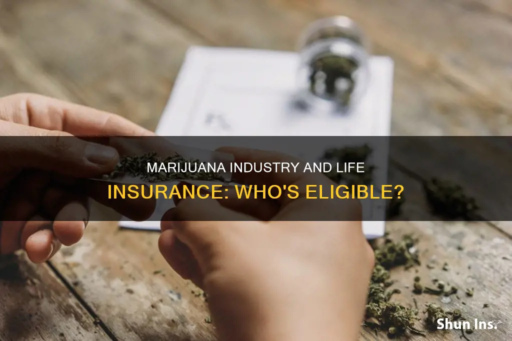 can life insurance be offered to marijuana industry