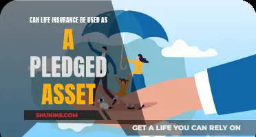 Pledged Asset: Can Life Insurance Be Leveraged?