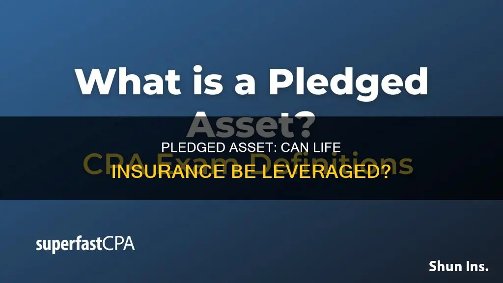 can life insurance be used as a pledged asset