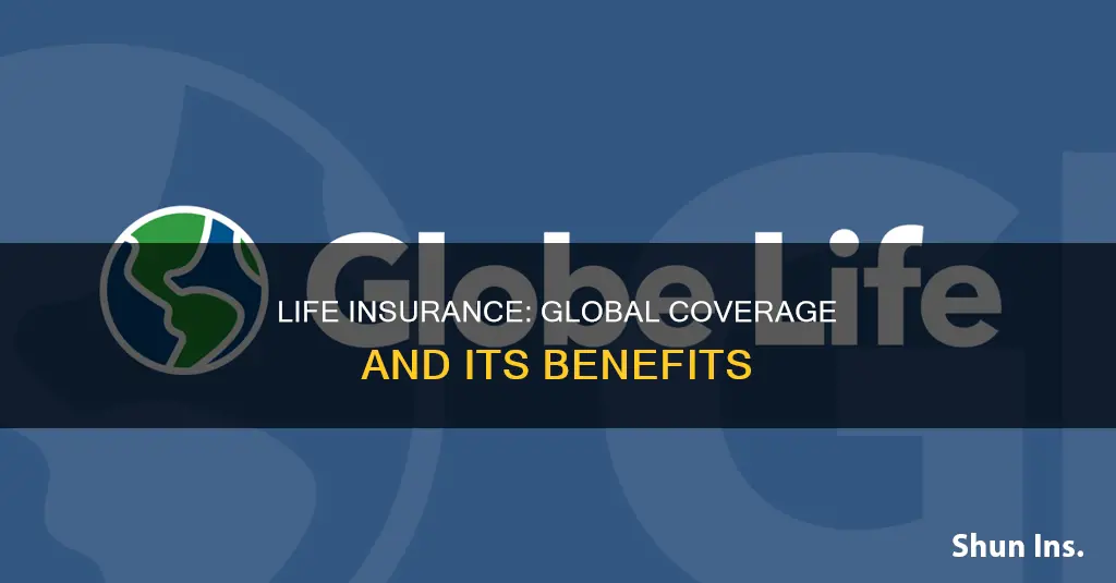 can life insurance be used internationally