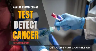 Life Insurance Blood Tests: Cancer Detection Possible?