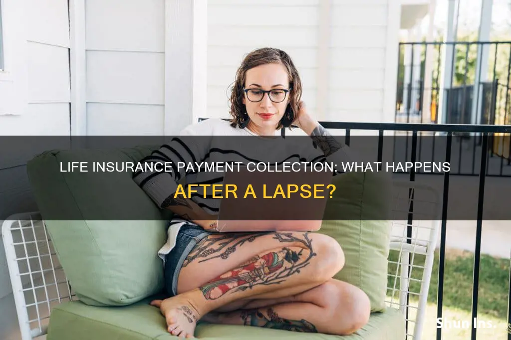 can life insurance collect payment after lapse